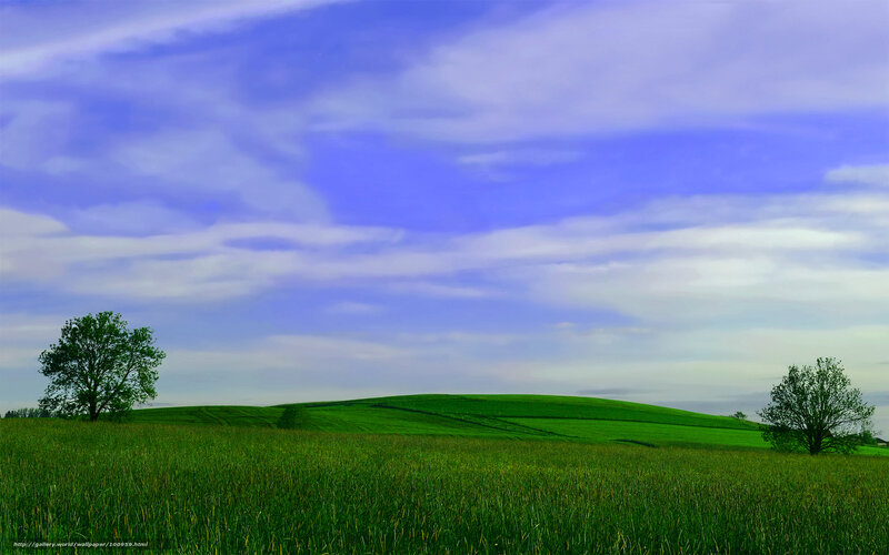 Green Hills and Trees — Serene, Afternoon
