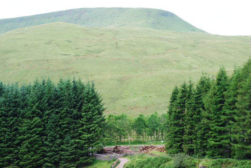 Green Hills and Trees — Serene, Morning