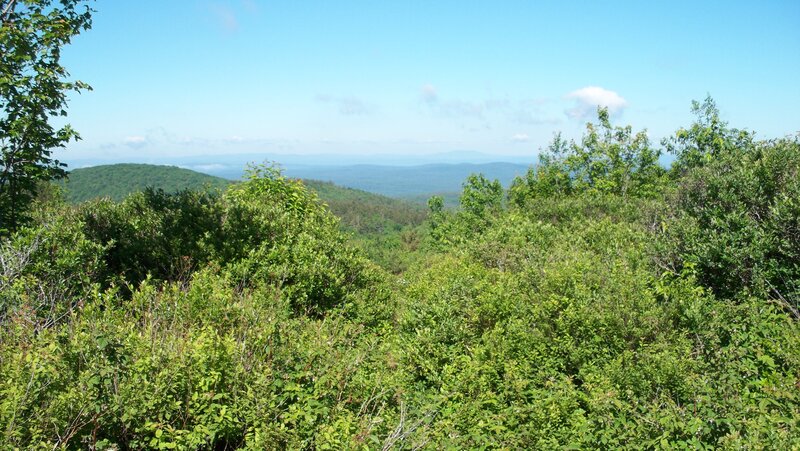 Green Hills and Trees — Serene