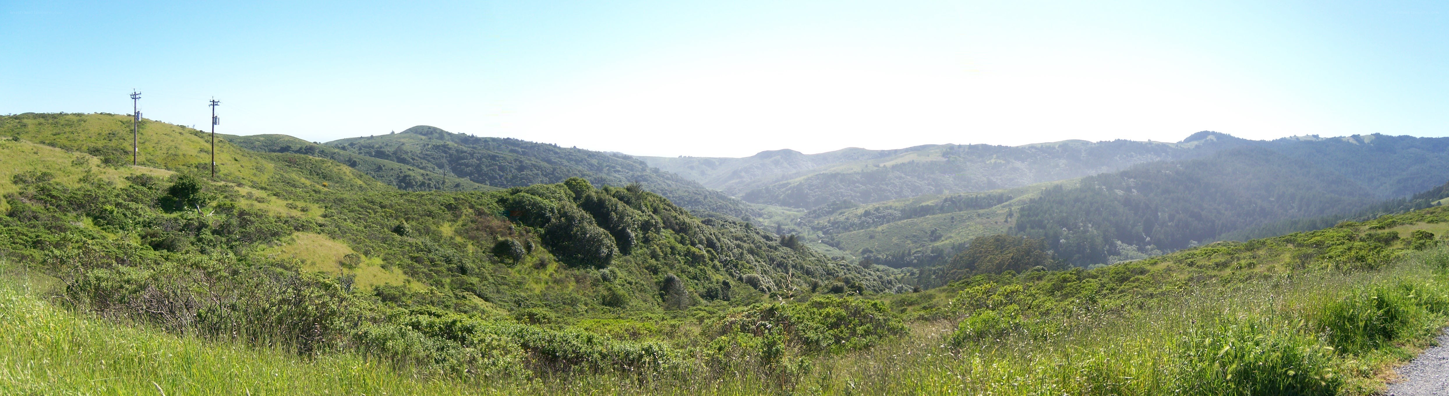 Green hills and valleys landscape