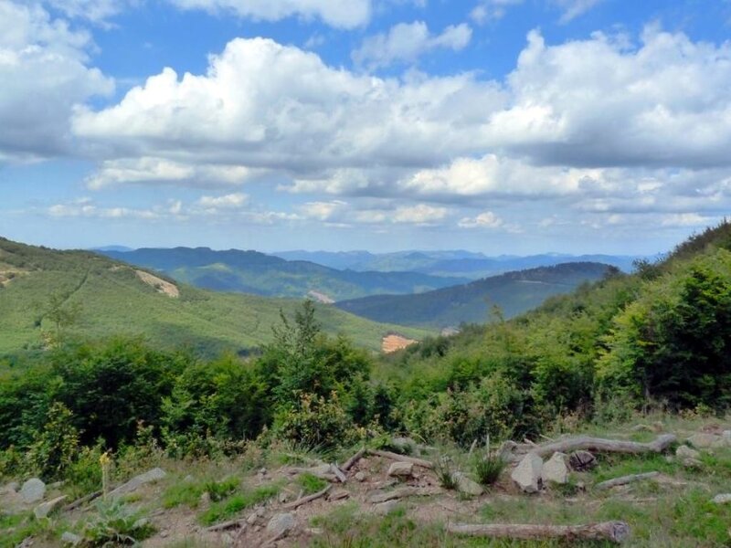 Green Hills and Valleys — Serene, Afternoon, Photograph
