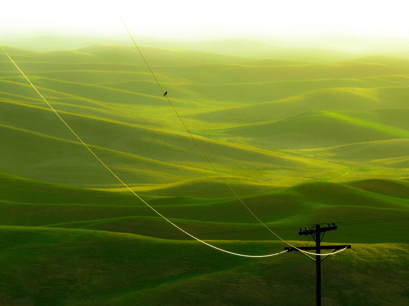 Green Hills at Dawn
