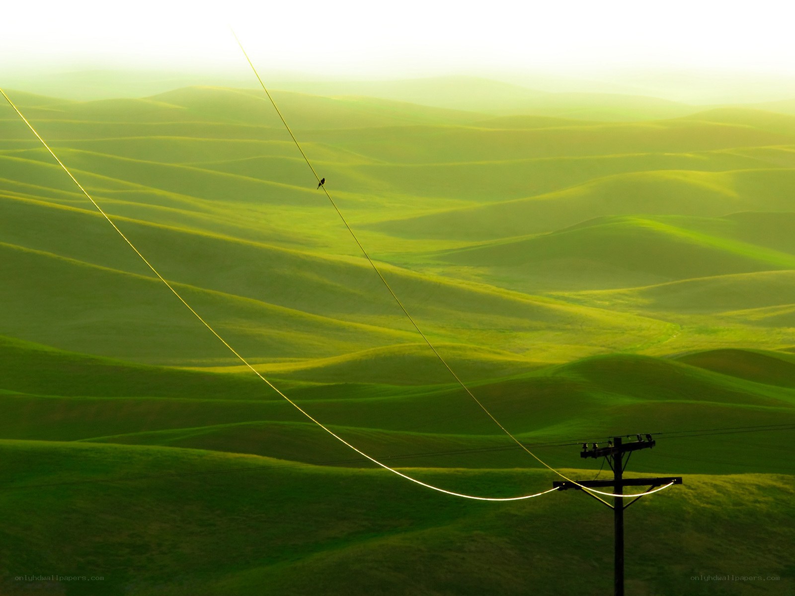 Green Hills at Dawn