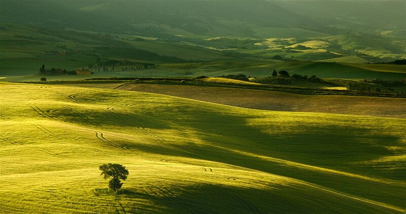 Green hills at golden hour