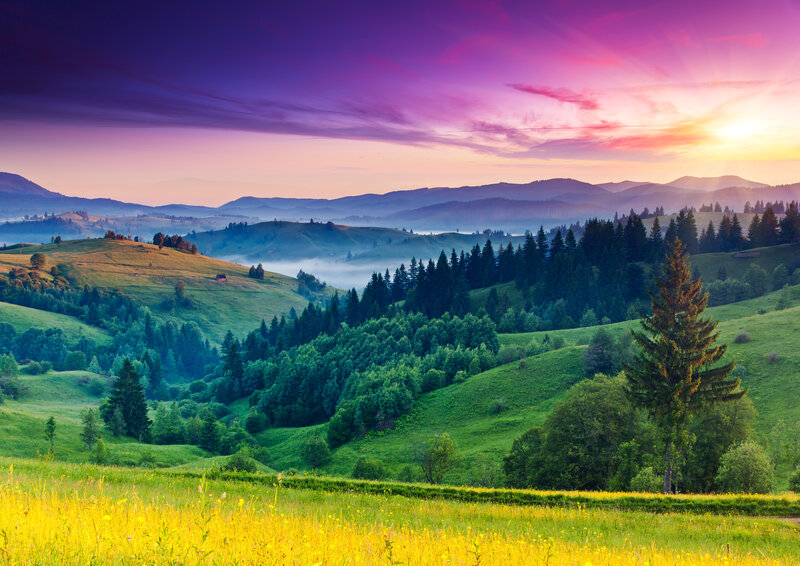 Green Hills at Sunrise — Purple