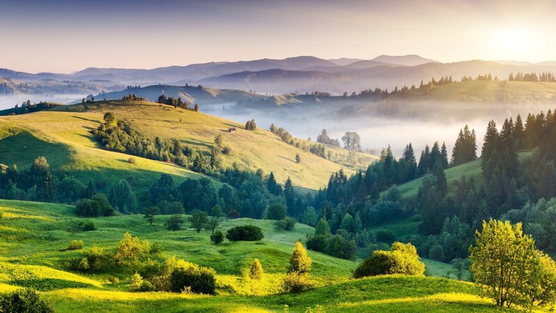 Green Hills at Sunrise — Serene, Photograph, Fog, Trees