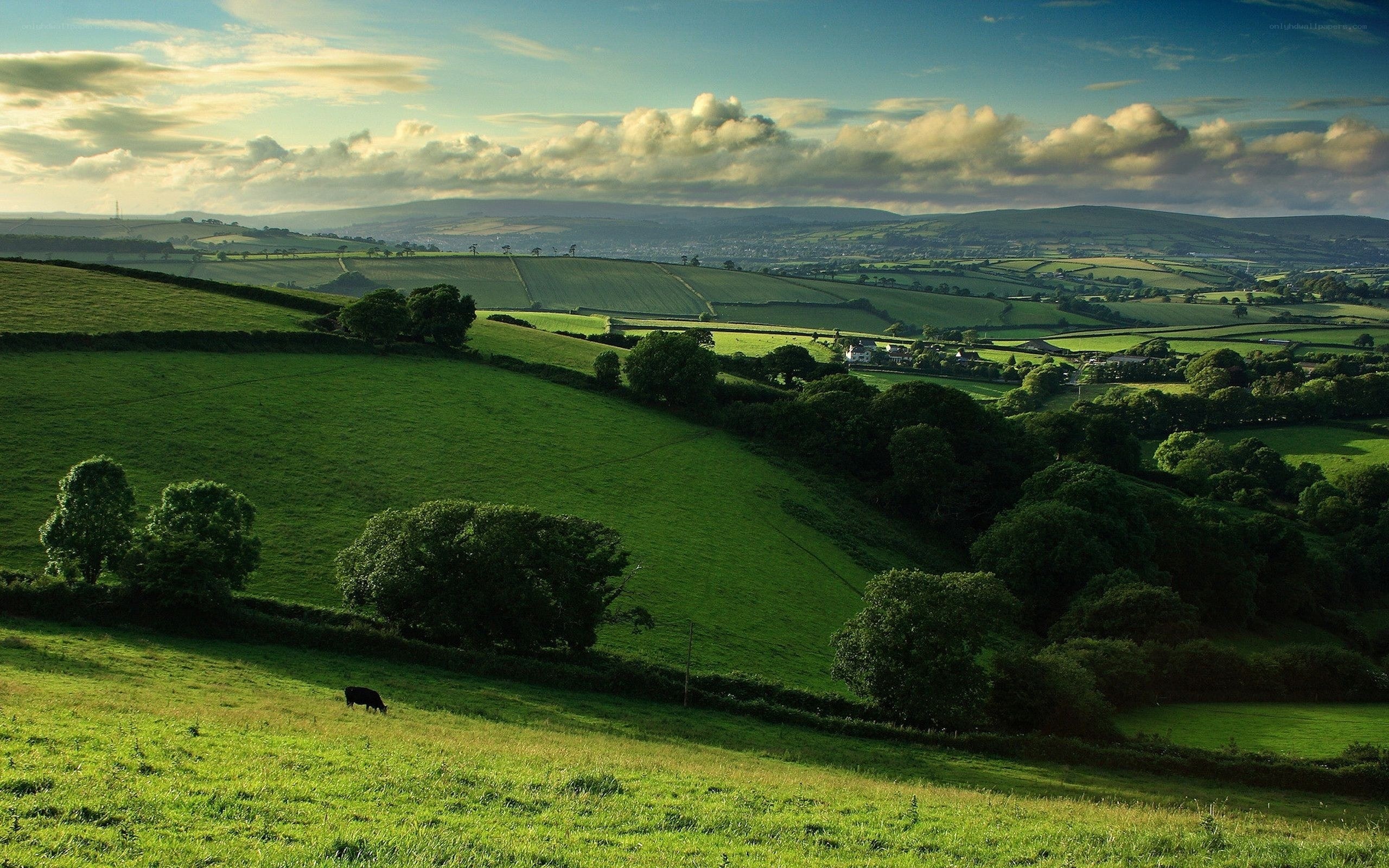 Green hills at sunset