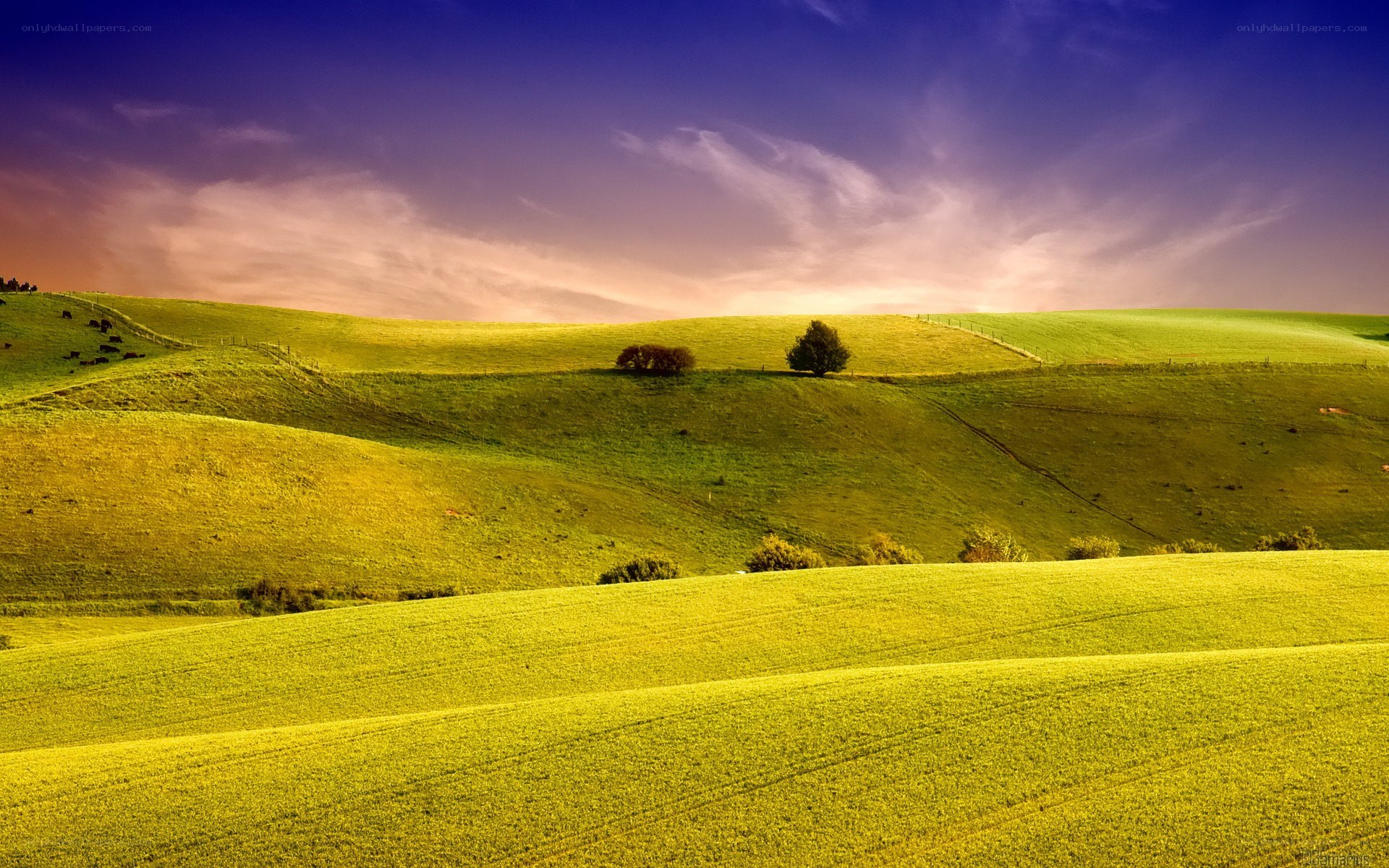 Green hills at sunset