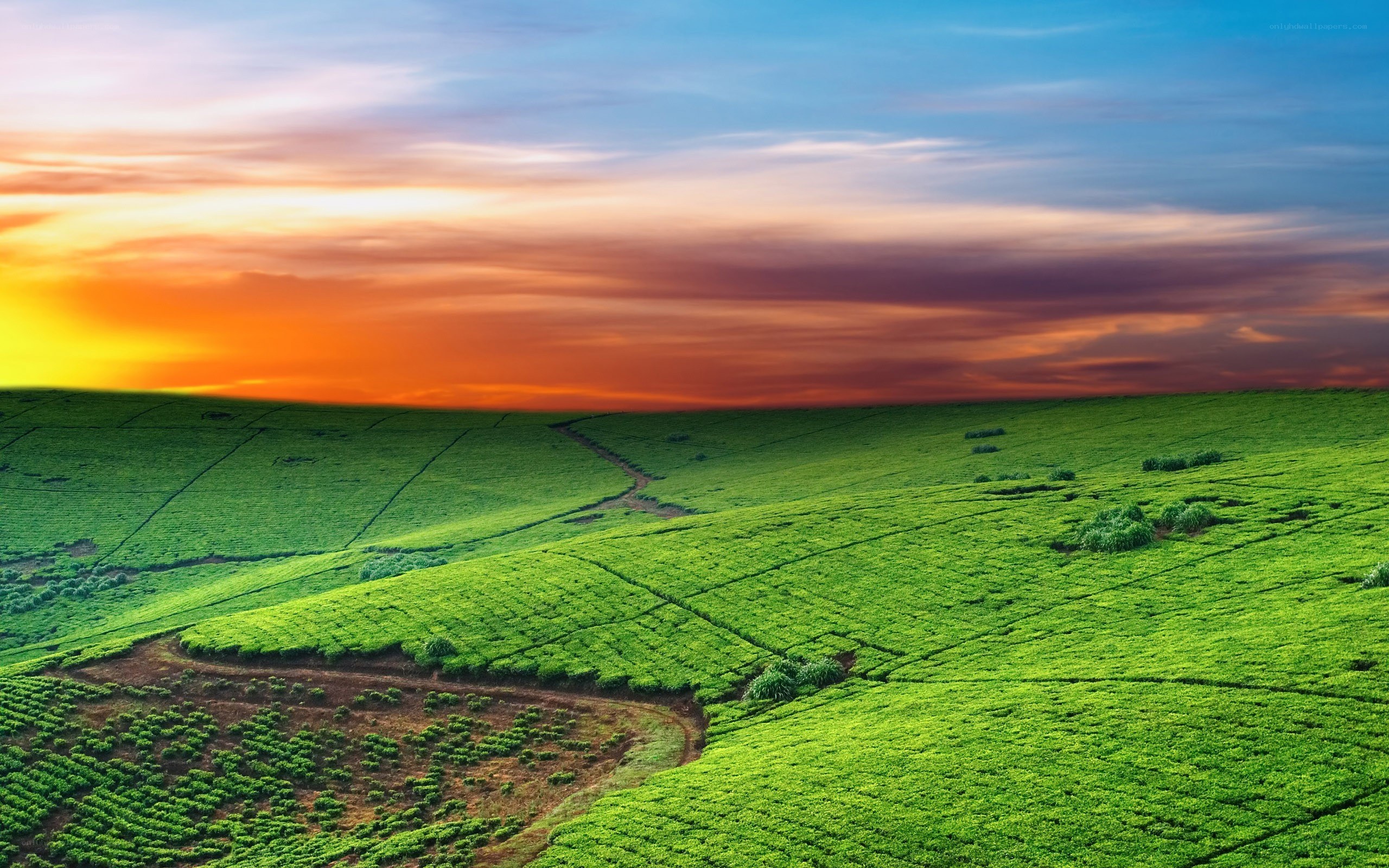 Green hills at sunset