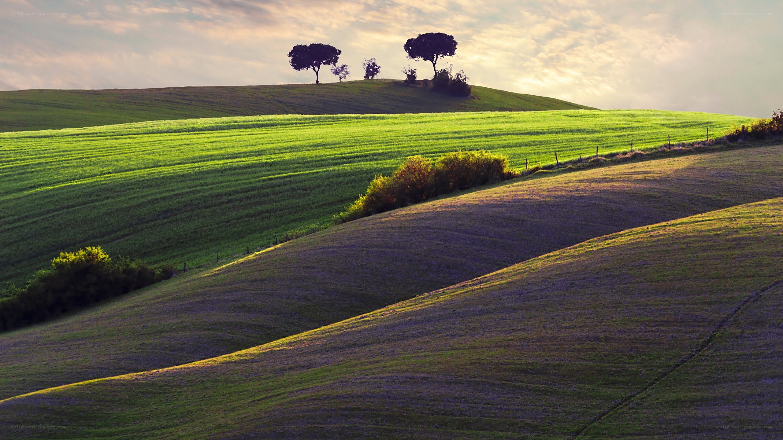 Green hills at sunset