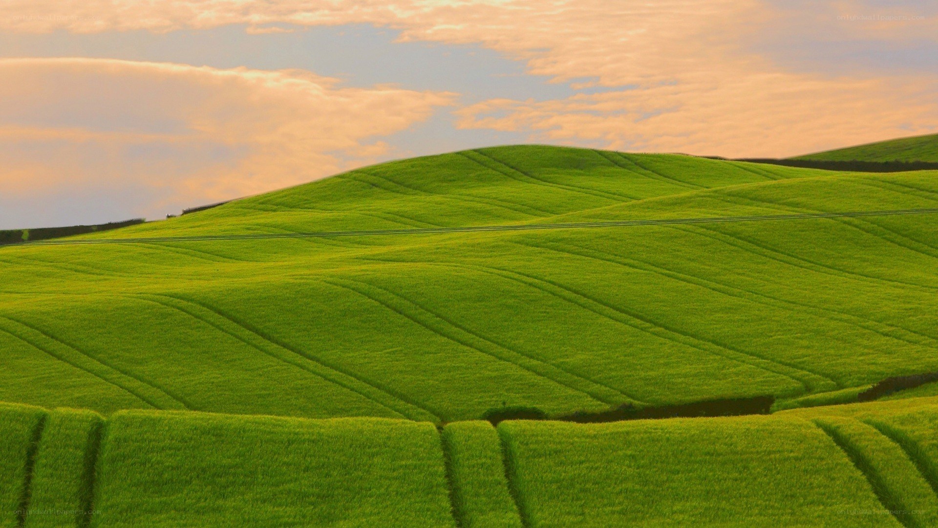 Green hills at sunset