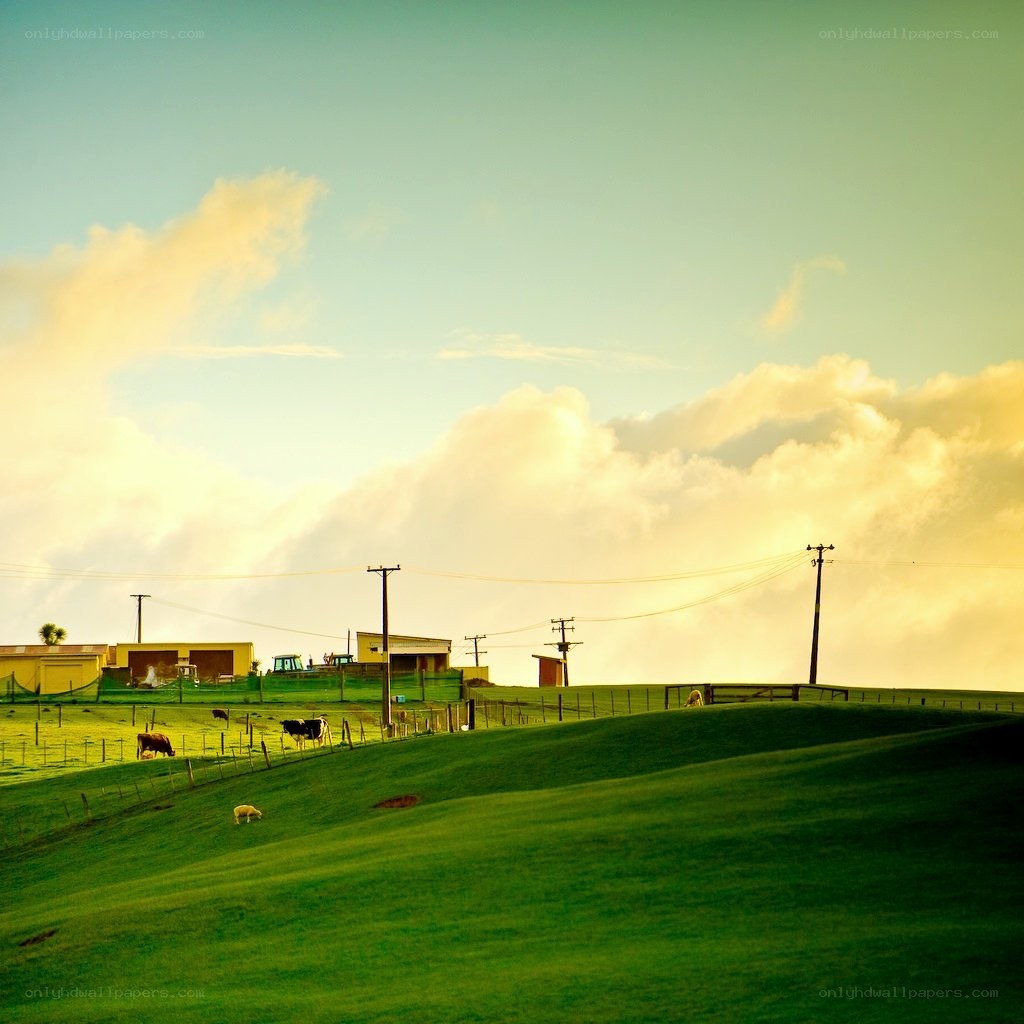 Green hills at sunset
