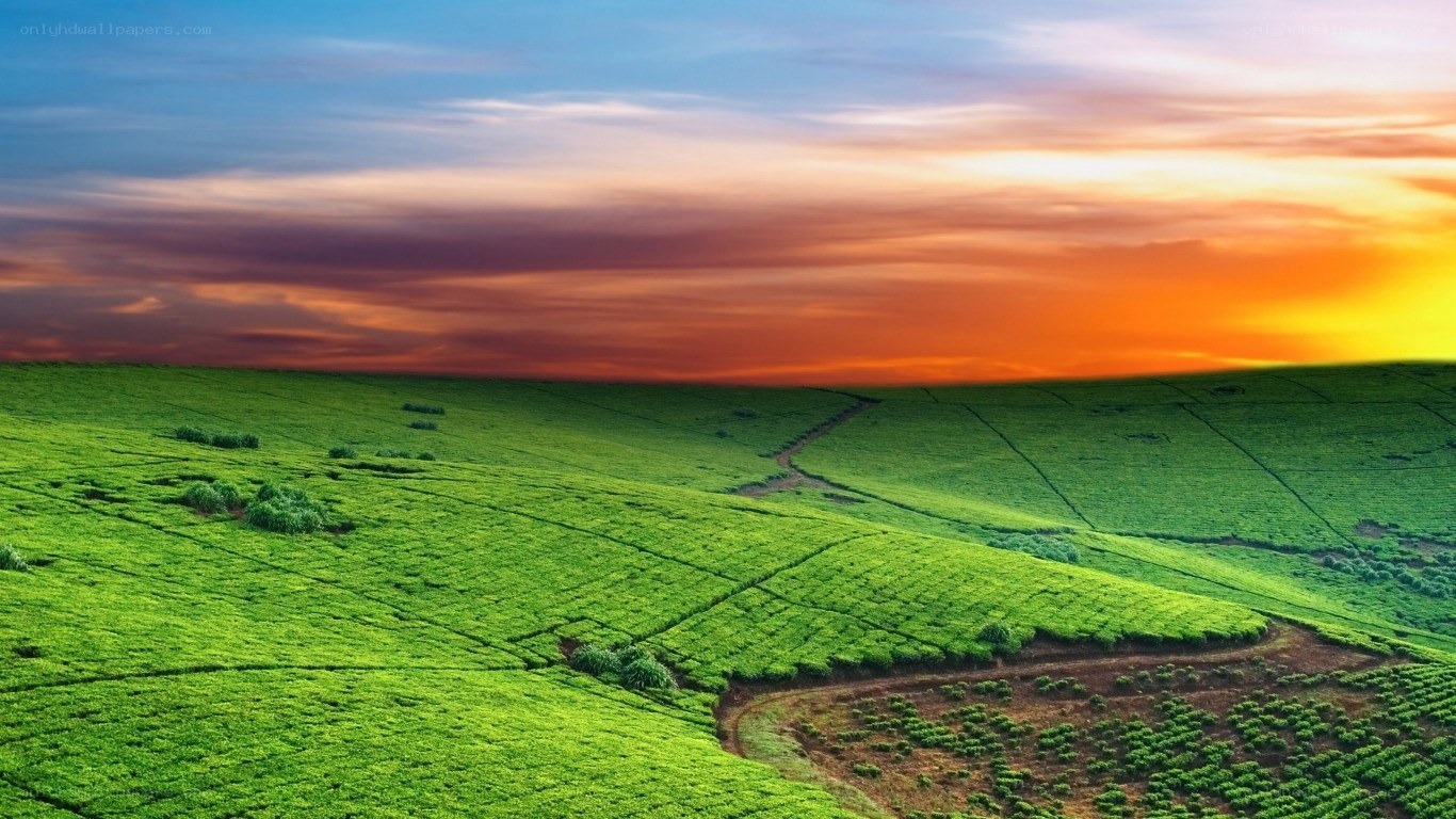 Green hills at sunset