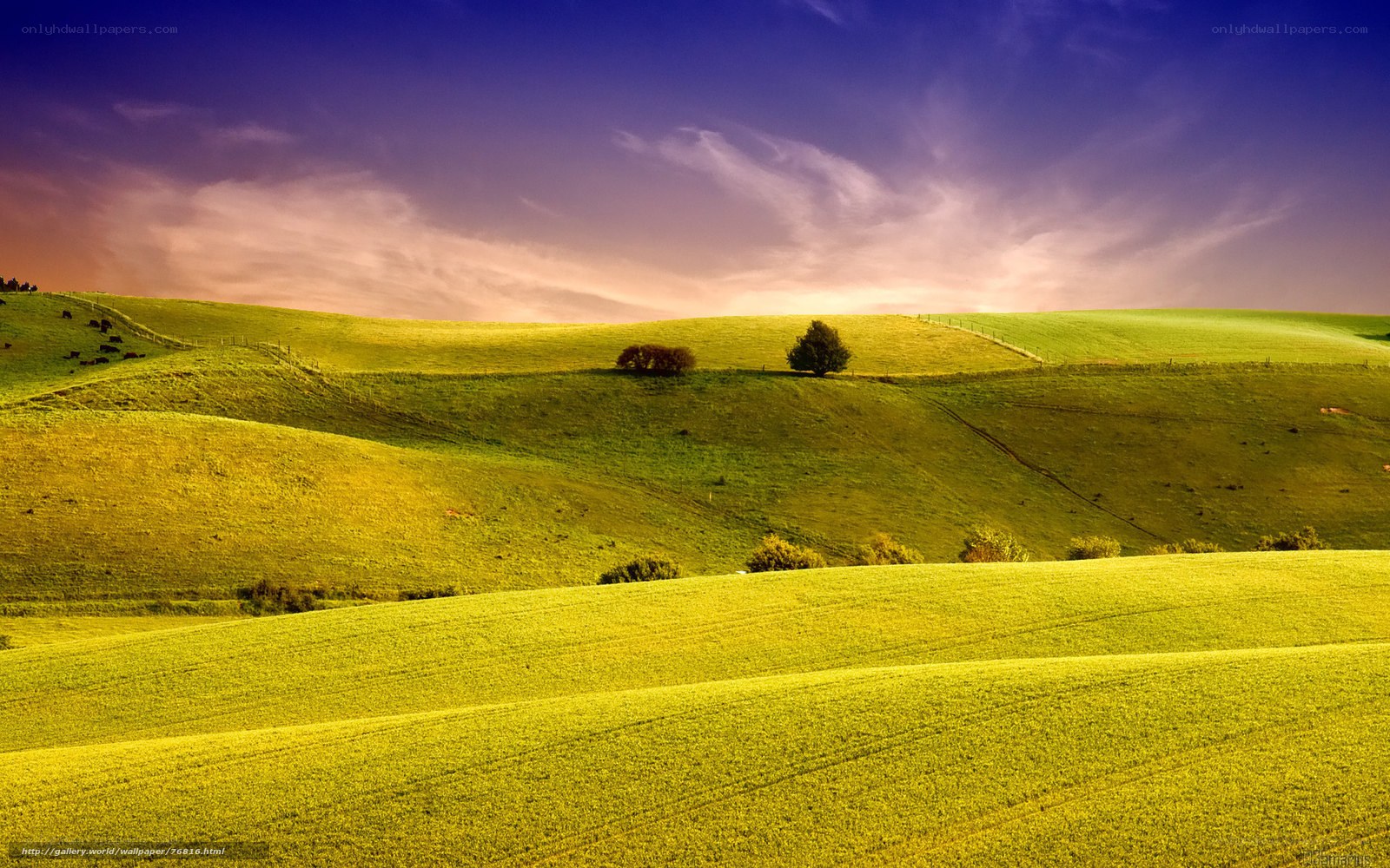 Green Hills at Sunset