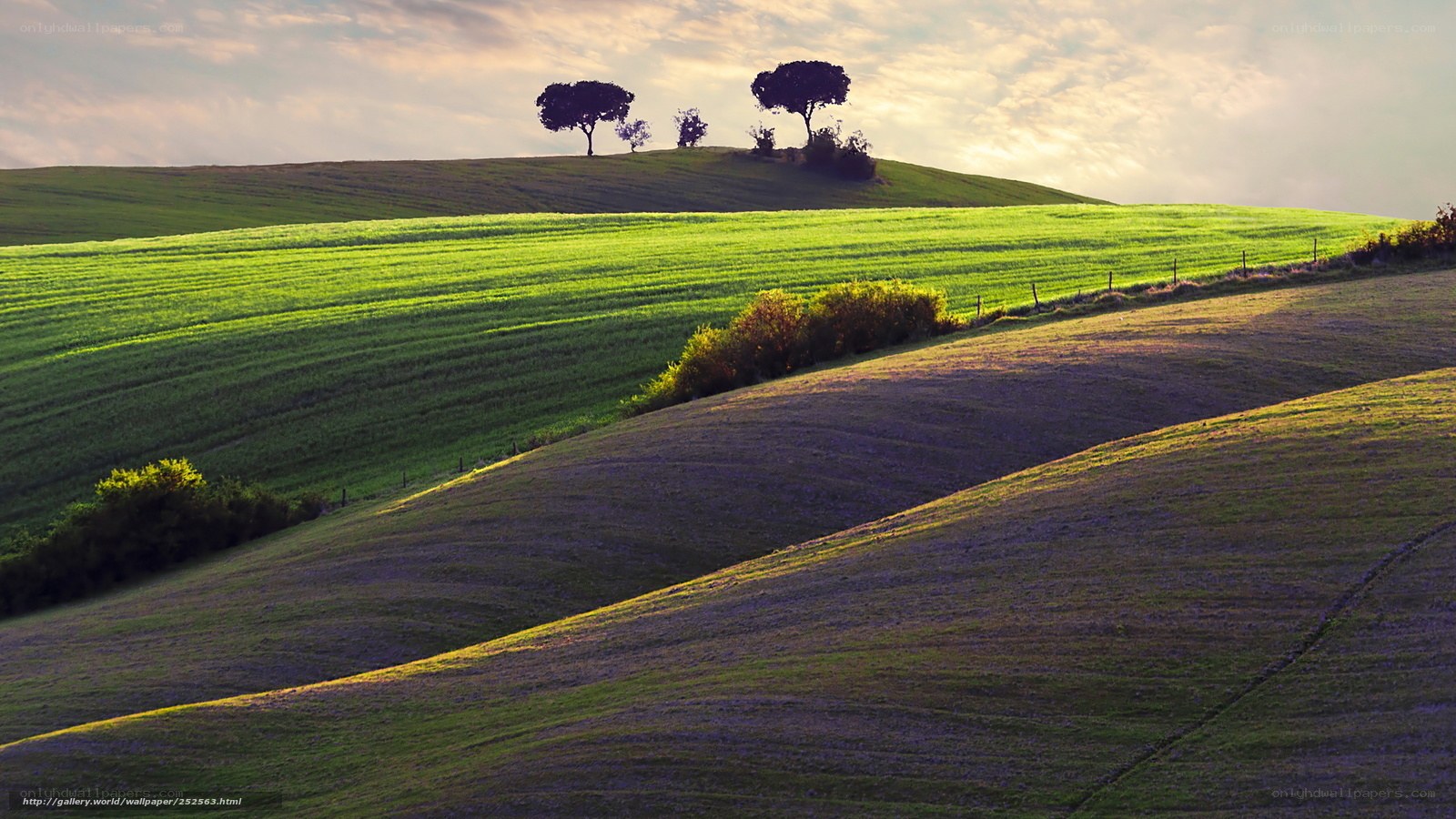 Green hills at sunset