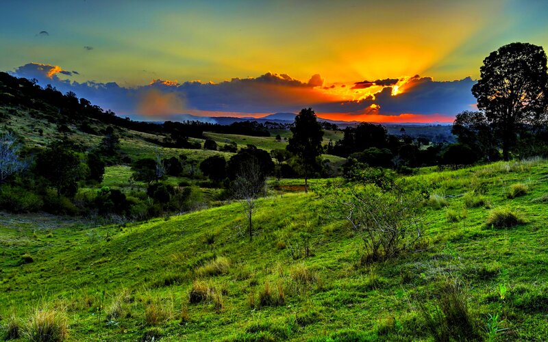 Green Hills at Sunset — Dramatic, Photograph, Trees