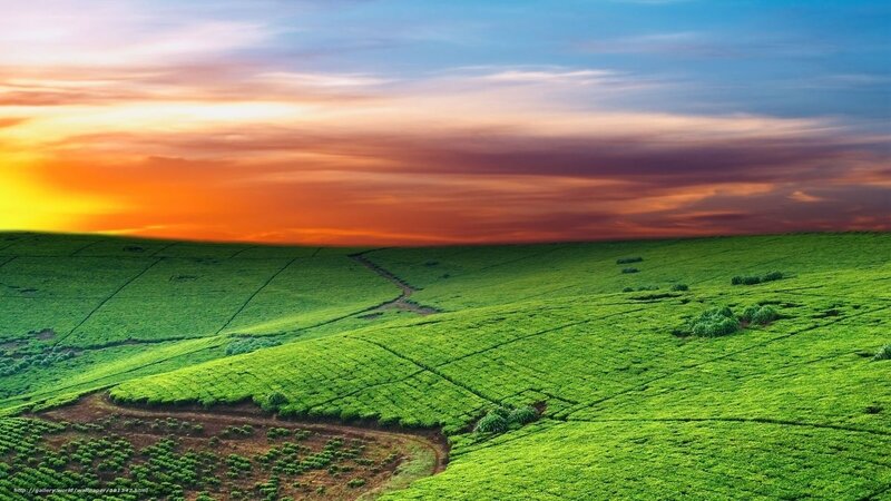 Green Hills at Sunset — Serene, Photograph, Sky, Clouds