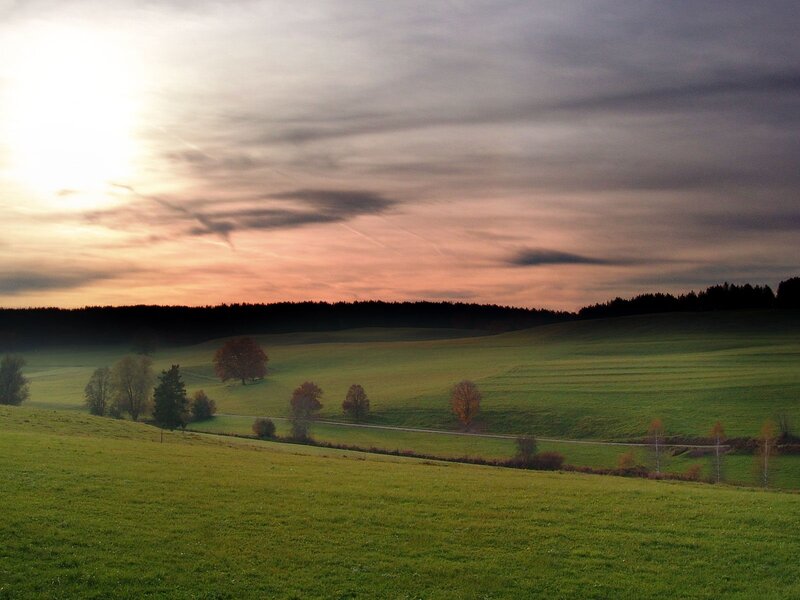 Green Hills at Sunset — Serene, Photograph, Trees, Road, Forest, Orange, Gray