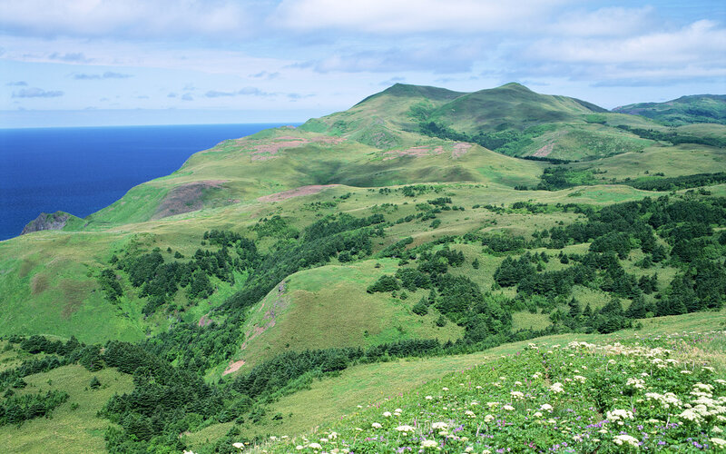 Green Hills by Ocean