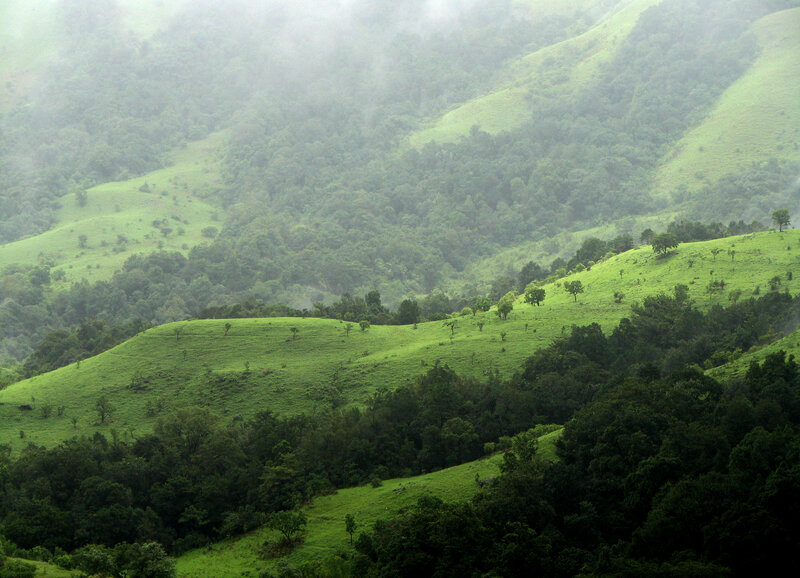 Green Hills in Fog — Misty