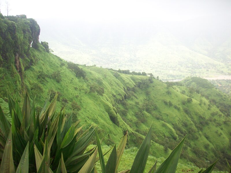 Green hills in misty landscape