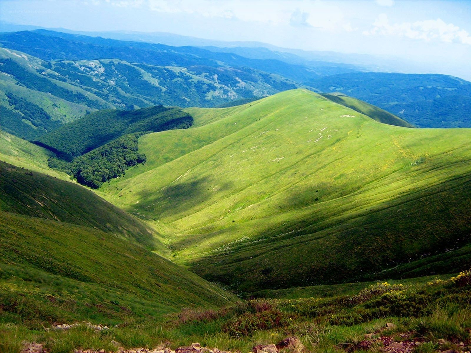Green hills landscape