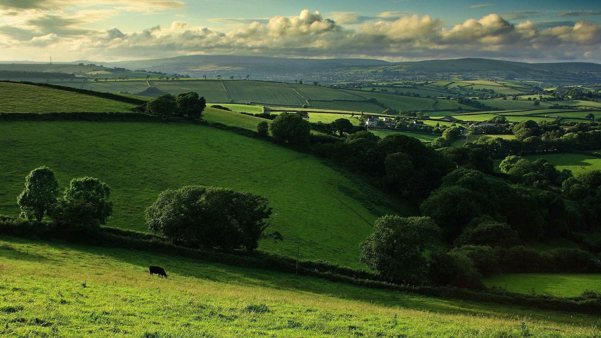 Green hills landscape