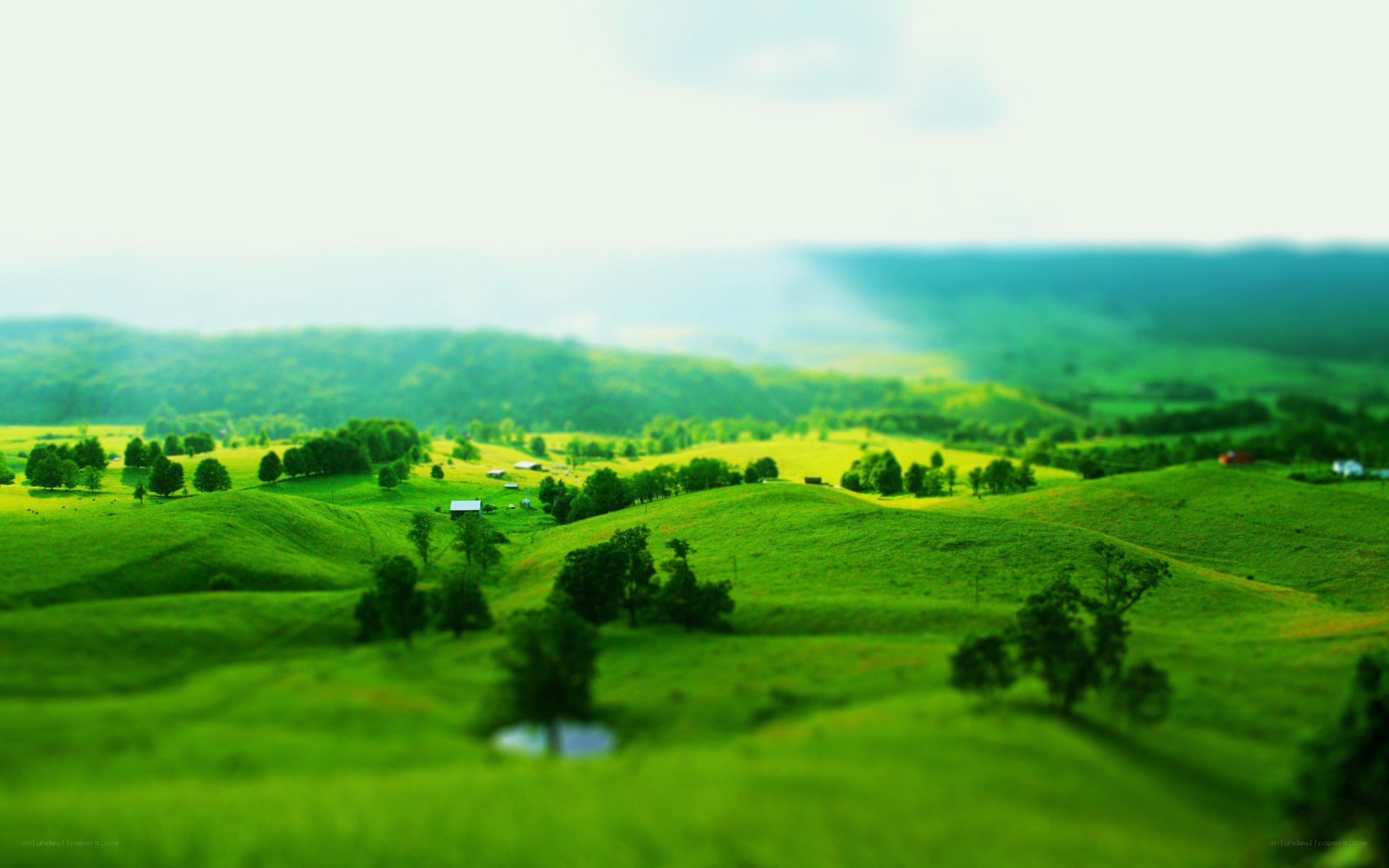 Green hills landscape