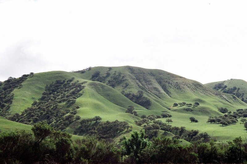 Green hills landscape