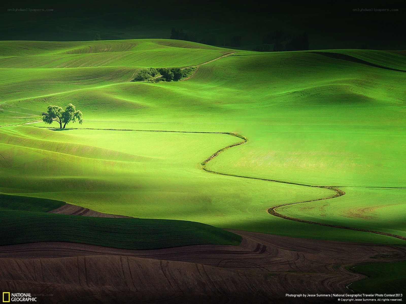 Green Hills Landscape