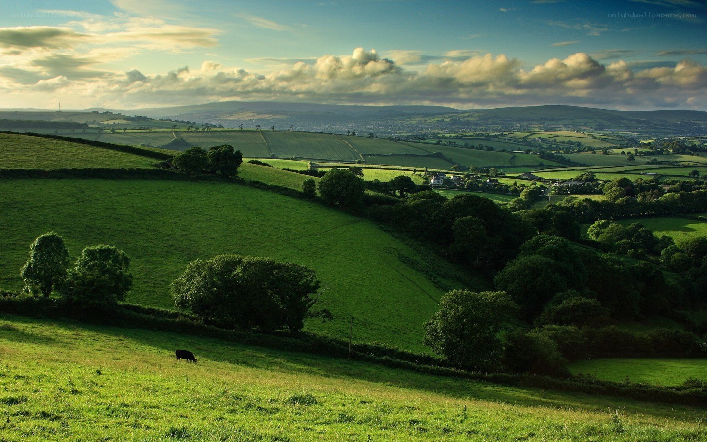 Green hills landscape