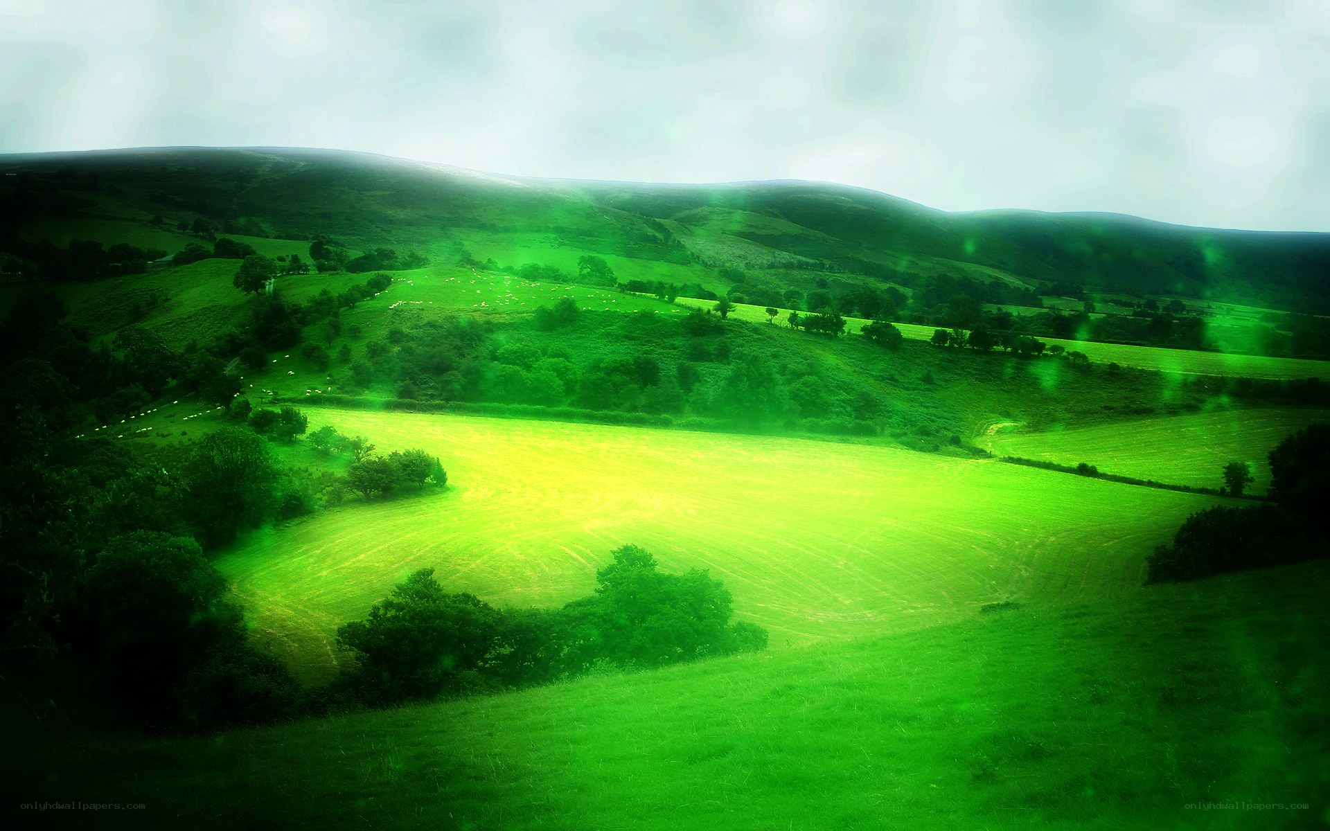 Green hills landscape