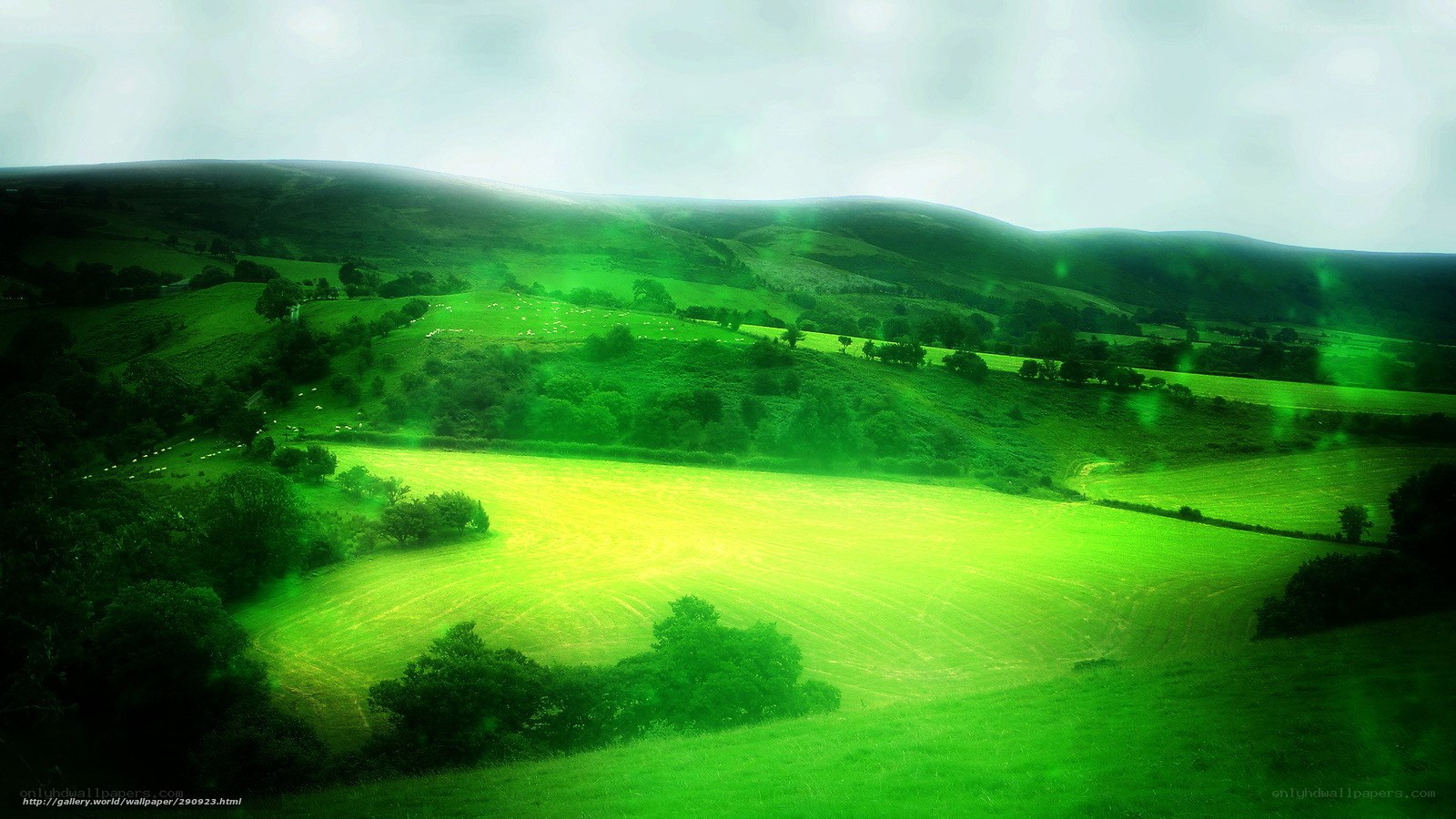 Green Hills Landscape