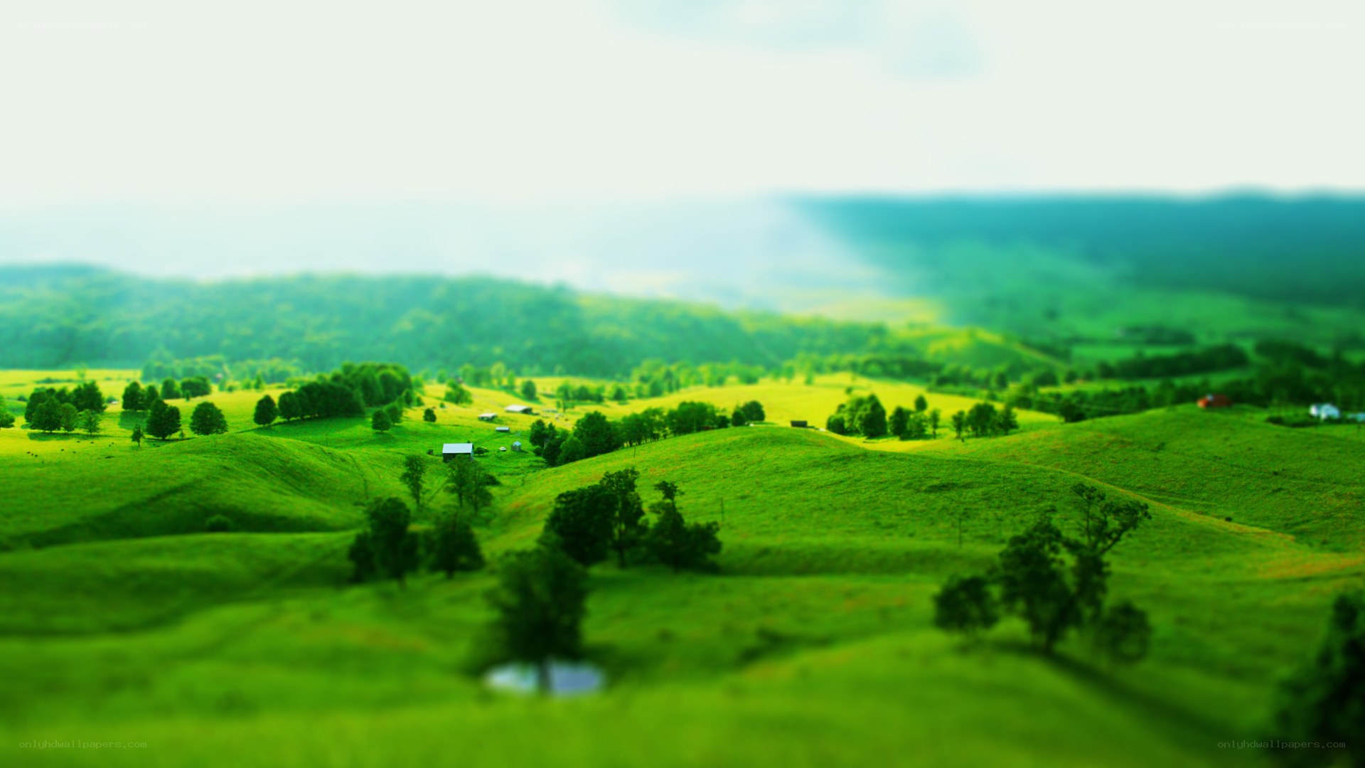 green hills landscape
