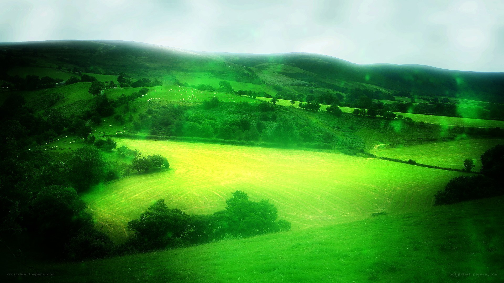 Green Hills Landscape