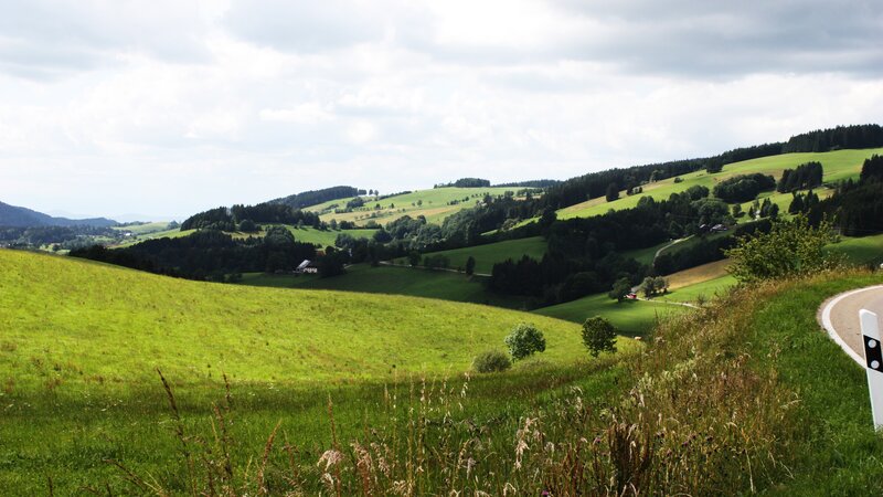 Green Hills Landscape — Serene, Afternoon, Photograph, Trees, Road, White