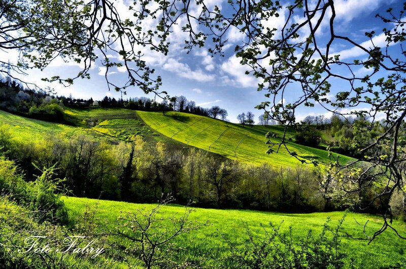 Green Hills Landscape — Serene, Spring, Photograph