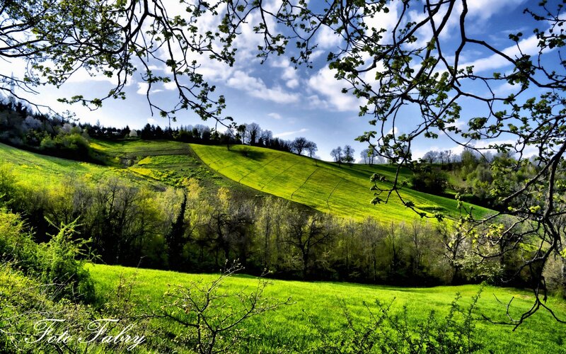 Green Hills Landscape — Serene, Spring