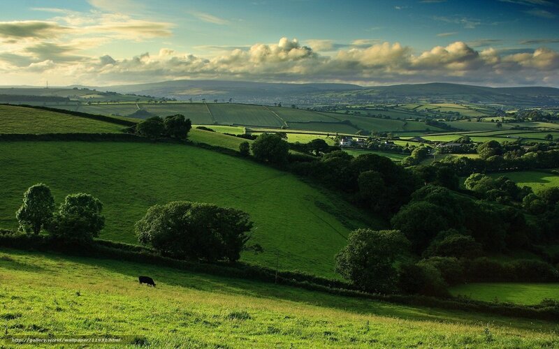 Green hills landscape