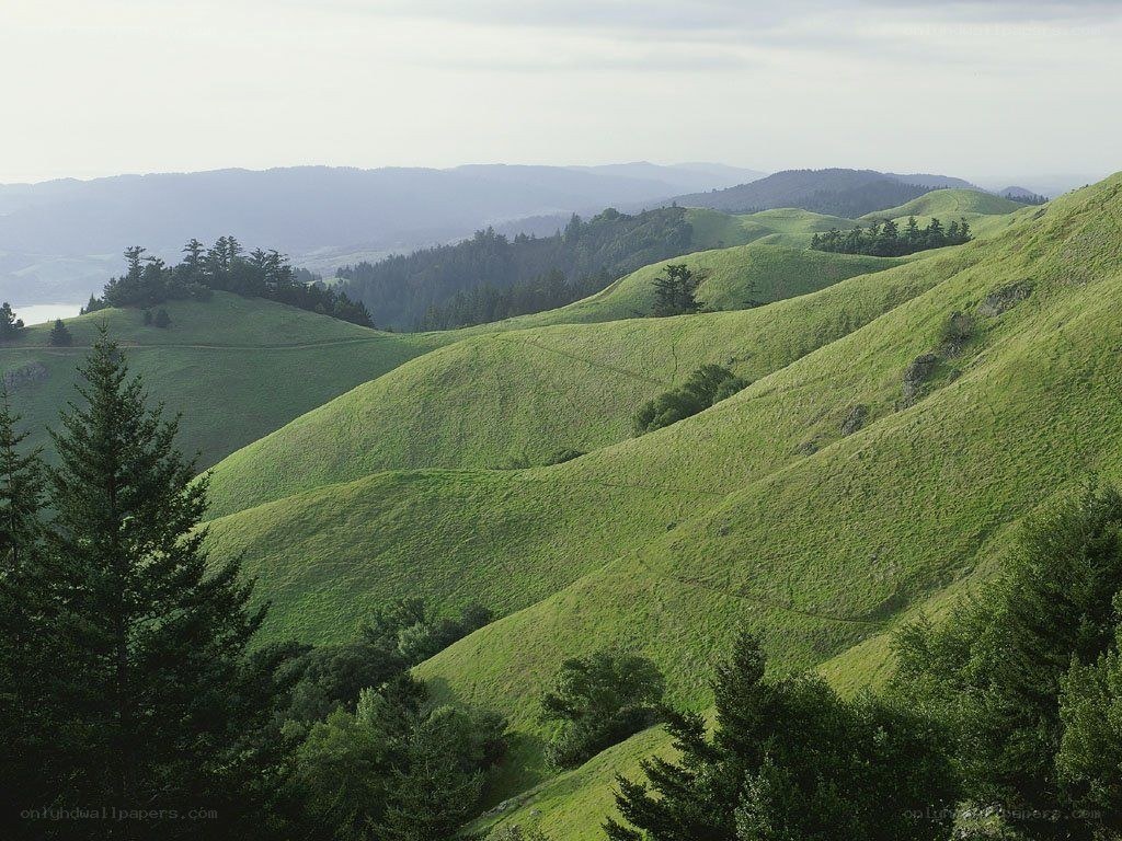 Green hills landscape view