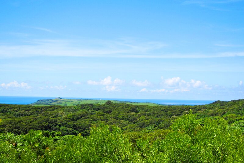 Green Hills Overlooking Ocean — Blue, Serene