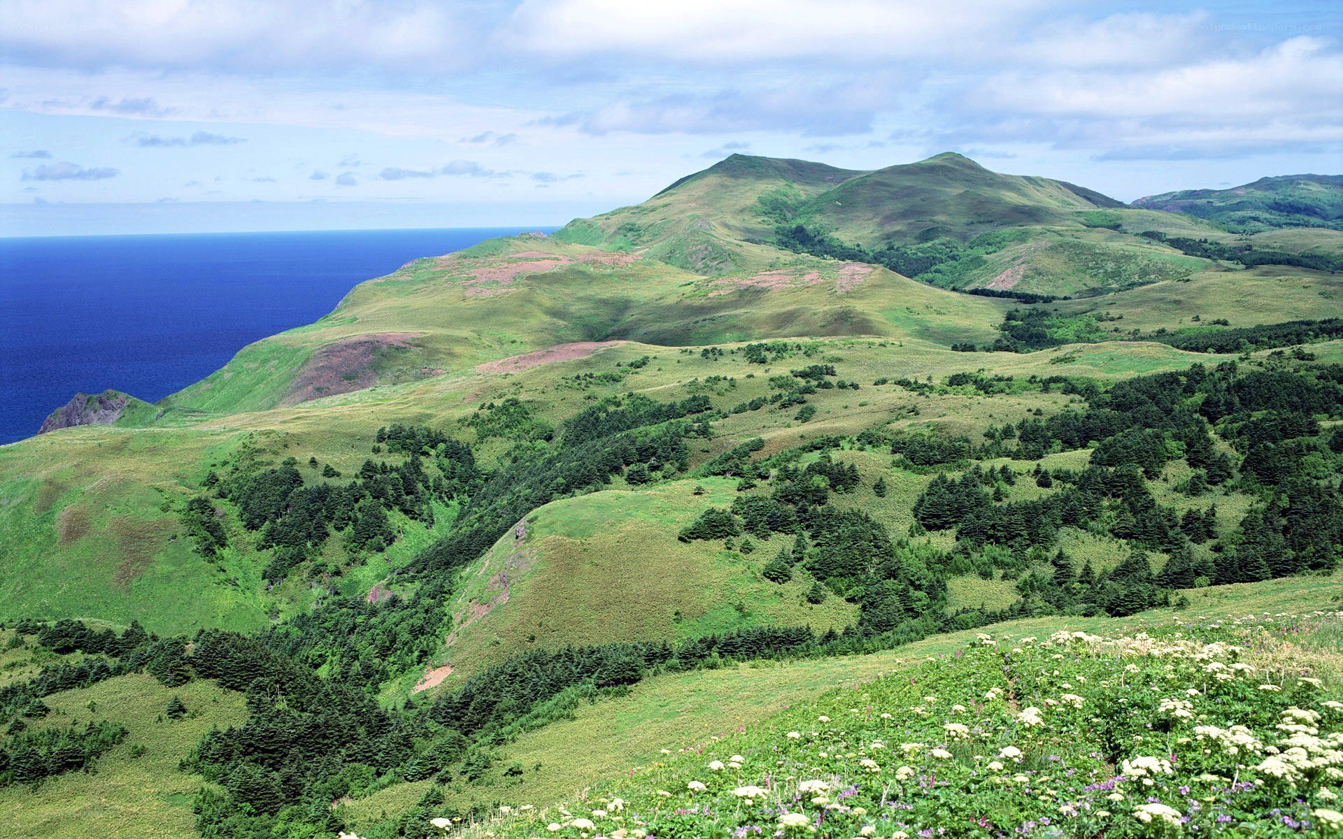 Green hills overlooking the ocean