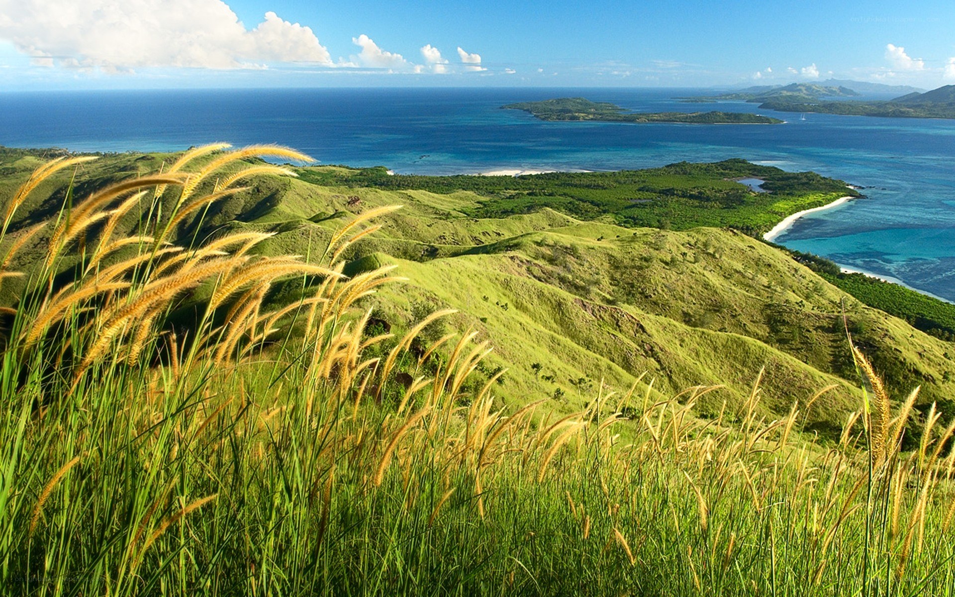 Green hills overlooking the ocean