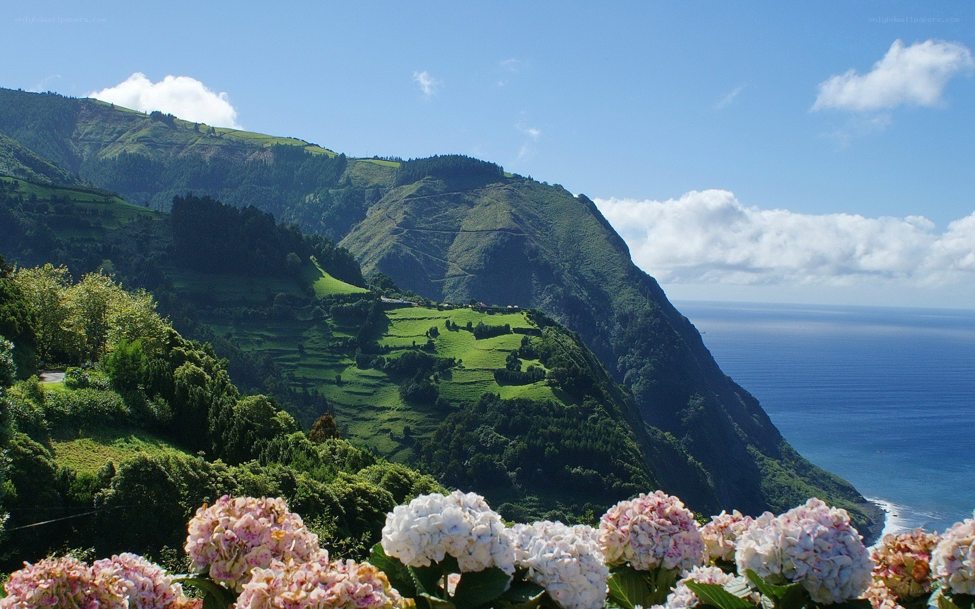 Green hills overlooking the ocean