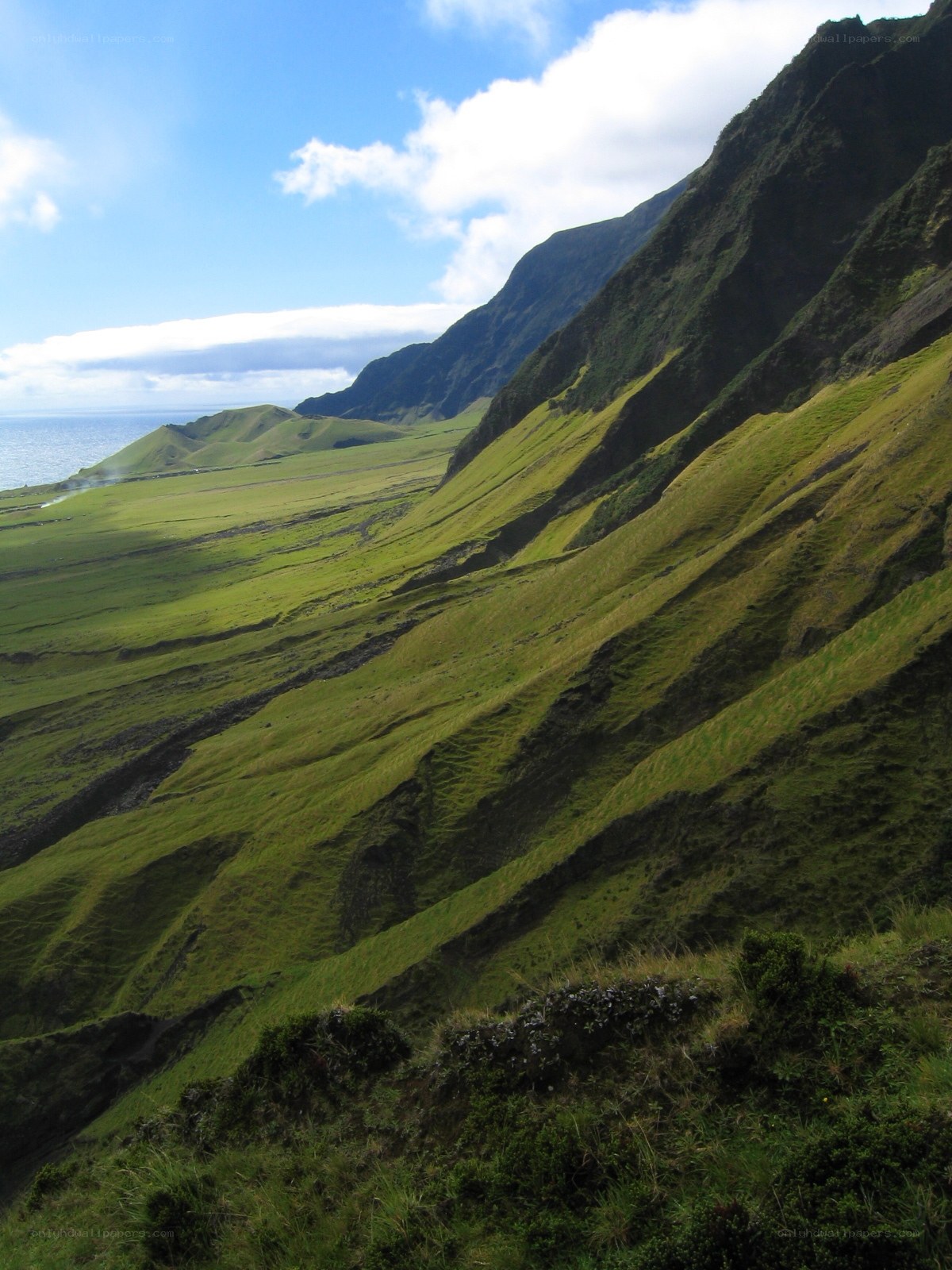 Green hills overlooking the ocean