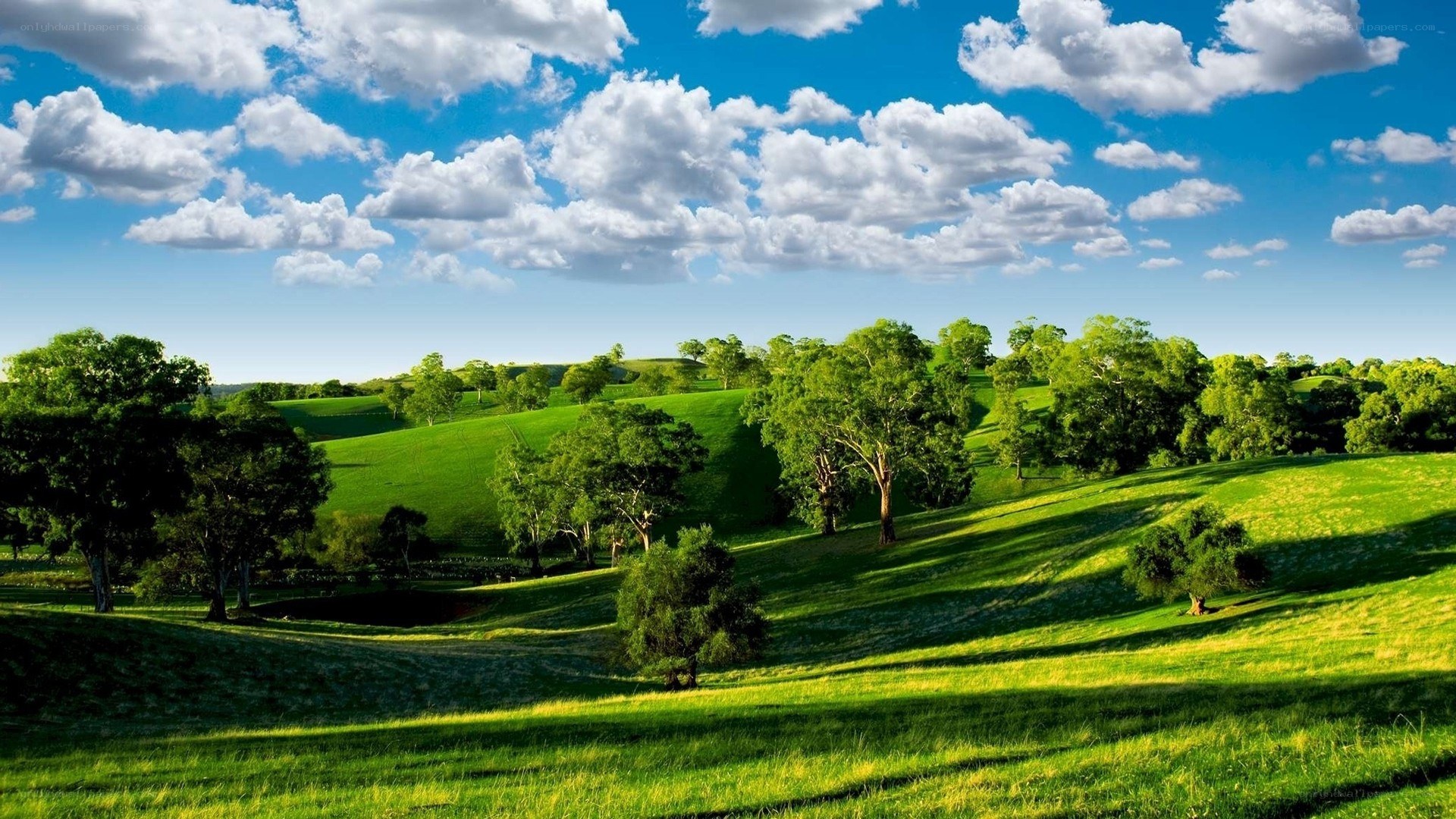 Green hills under a blue sky