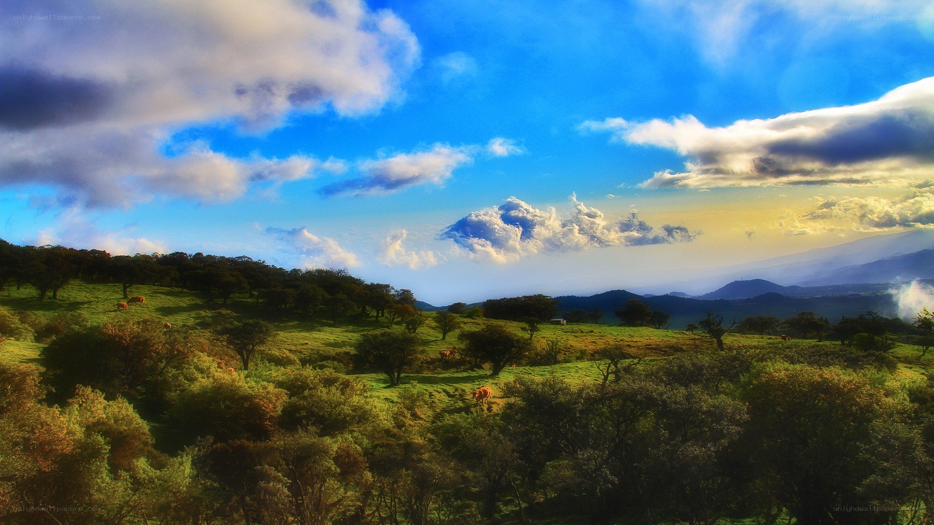 Green hills under a blue sky