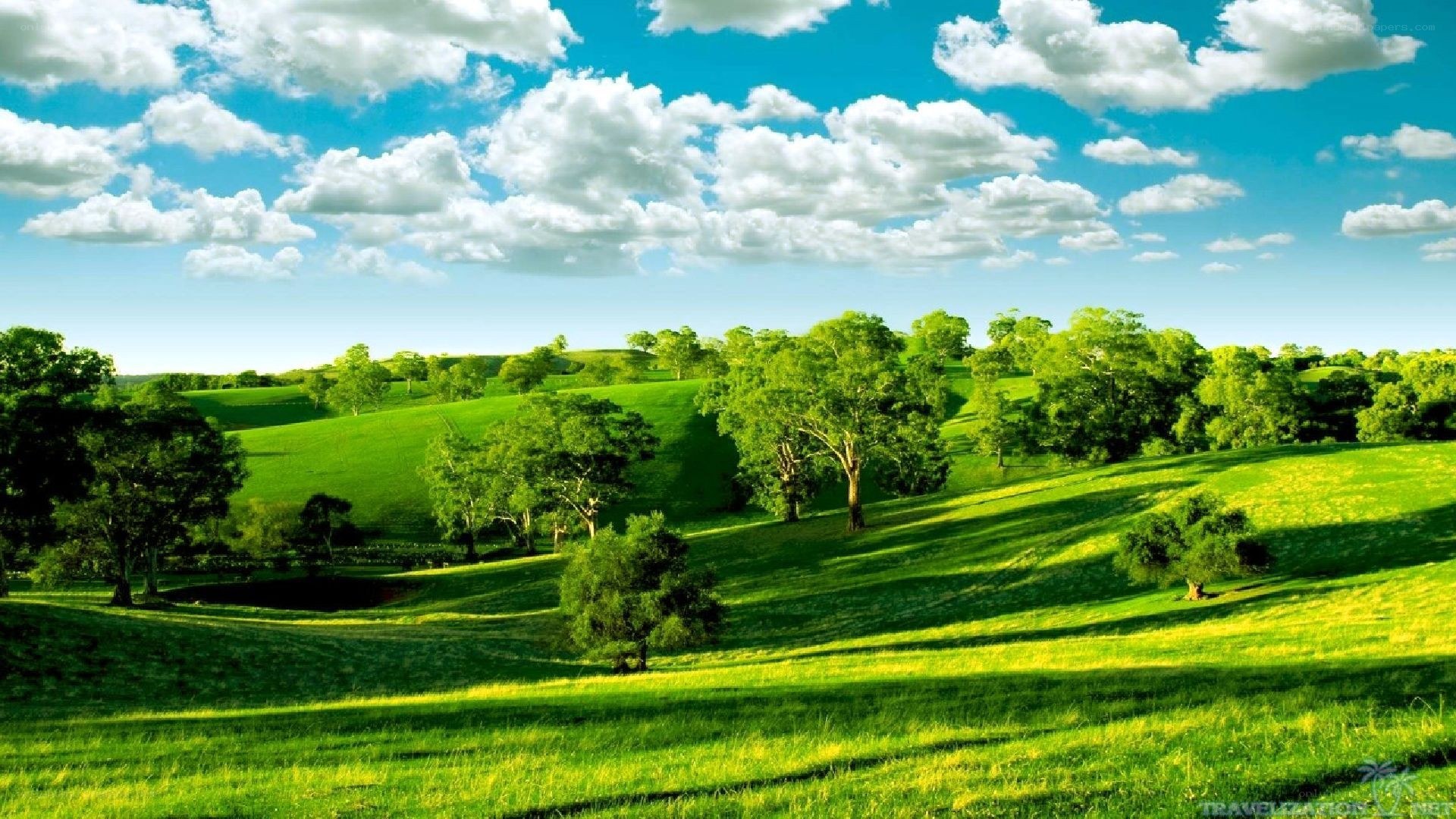Green hills under a blue sky