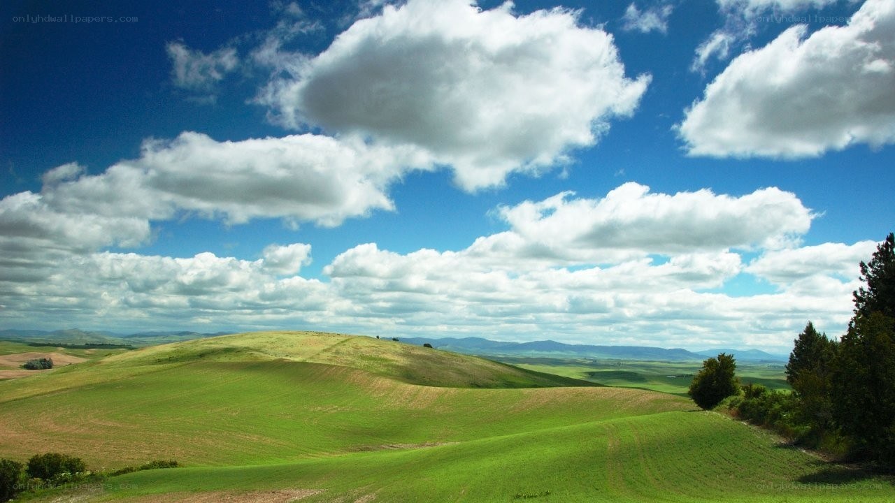 Green hills under a blue sky