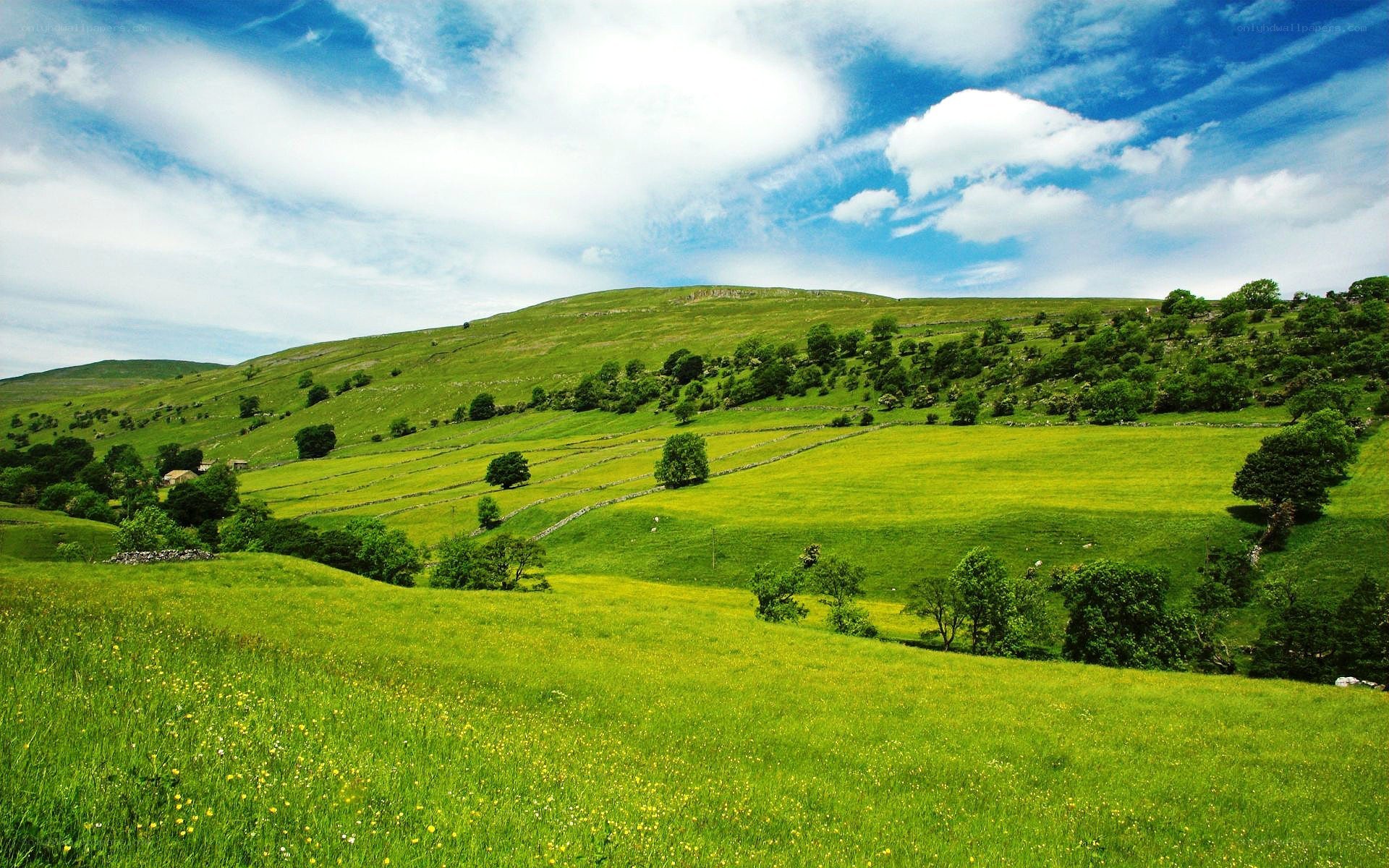 Green hills under blue sky